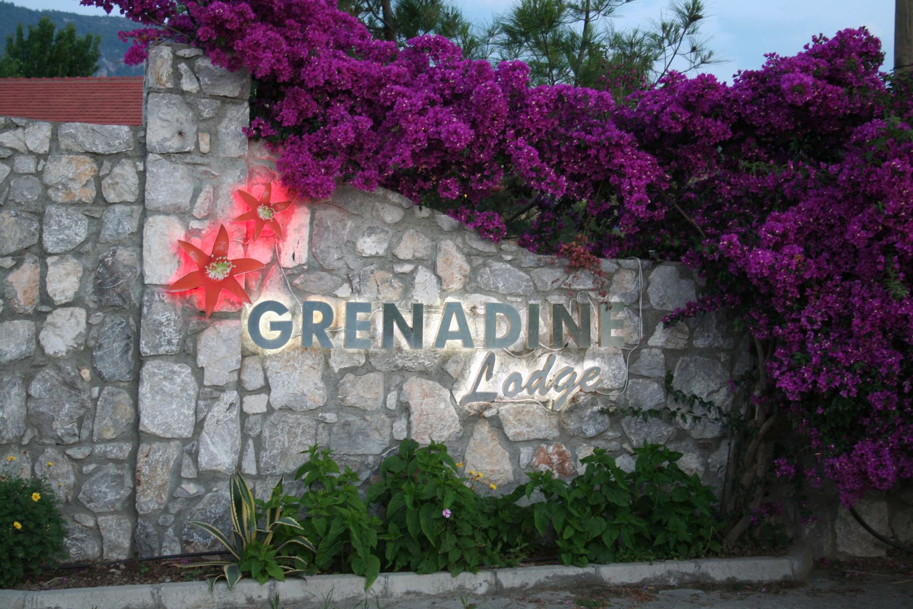 Eingang der Grenadine Lodge mit Bougainvillea