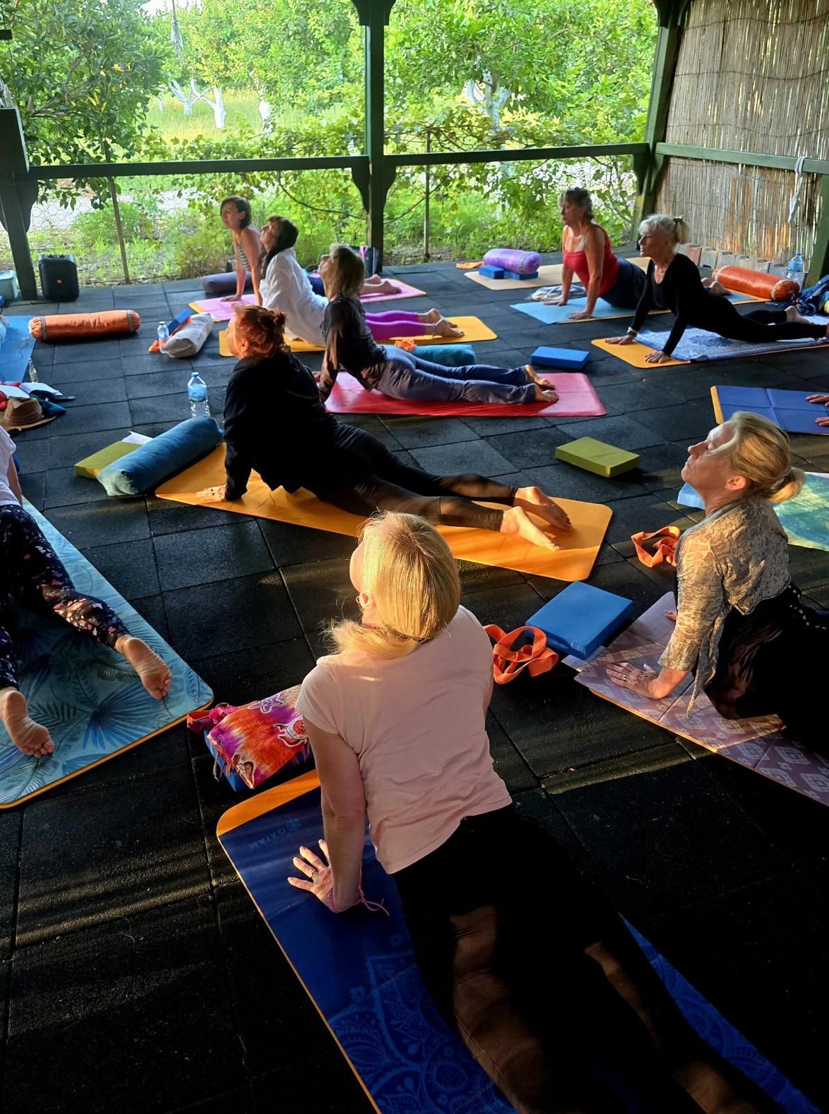 Yoga-Gruppe übt gemeinsam im Saal der Grenadine Lodge