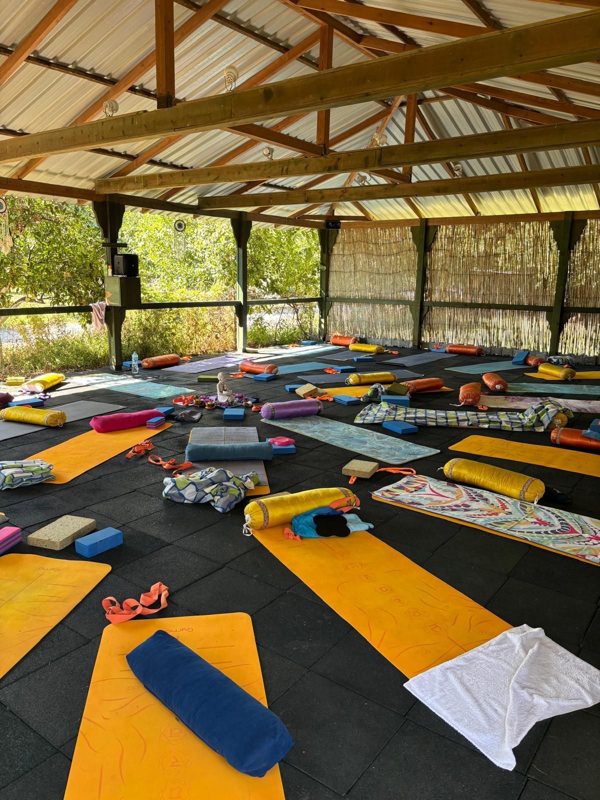 Bunte Yogamatten und Bolster, bereit für die nächste Einheit
